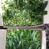 Sản Phẩm Đông Lạnh