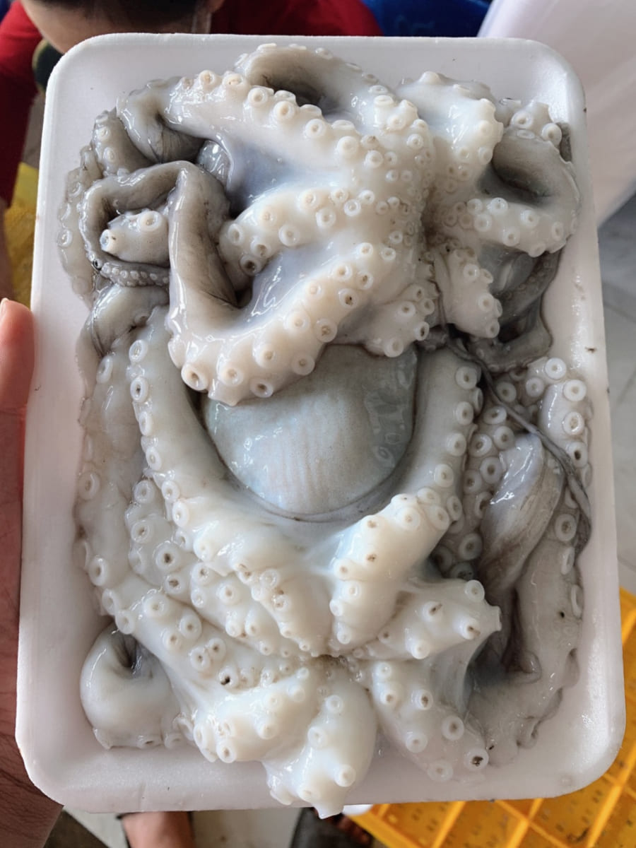 Sản Phẩm Đông Lạnh